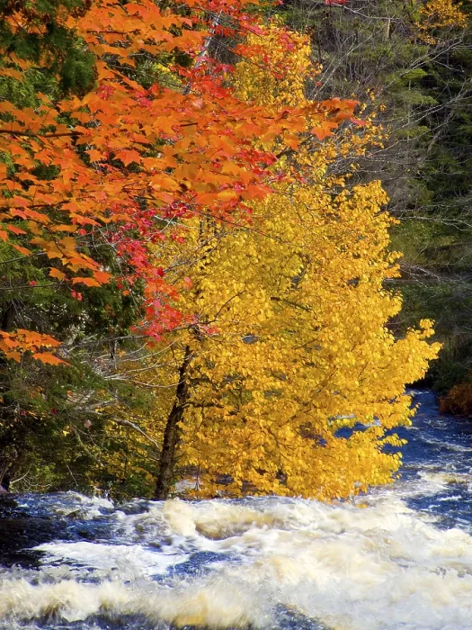 Framed Print : Du Fou River, La Mauricie National Park