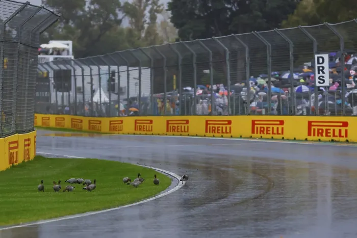 Framed Print : Ducks on circuit as storms hit at the 2025 Australian Grand Prix at Albert Park in Melbourne
