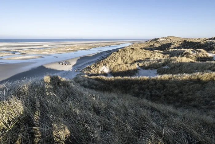 Framed Print : Dune landscape, Amrum, Schleswig-Holstein, Germany