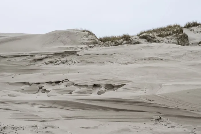 Framed Print : Dune landscape, Amrum, Schleswig-Holstein, Germany