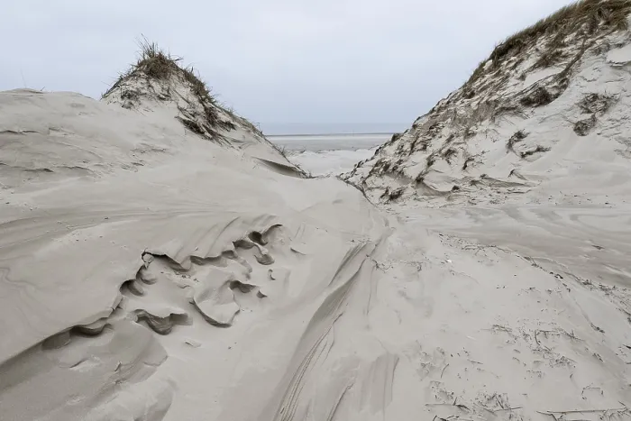 Framed Print : Dune landscape, Amrum, Schleswig-Holstein, Germany