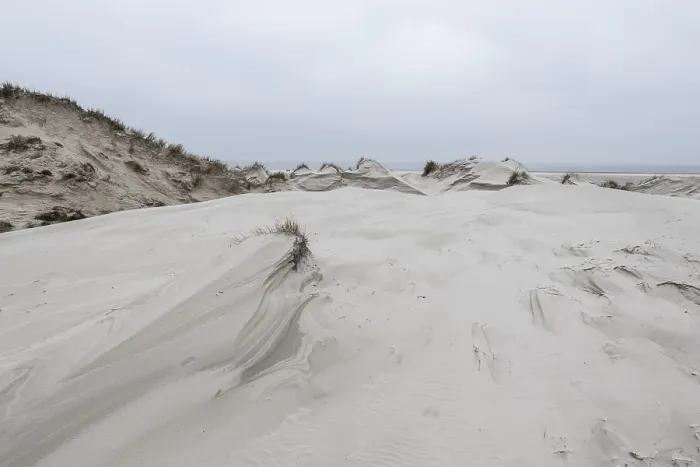 Framed Print : Dune landscape, Amrum, Schleswig-Holstein, Germany