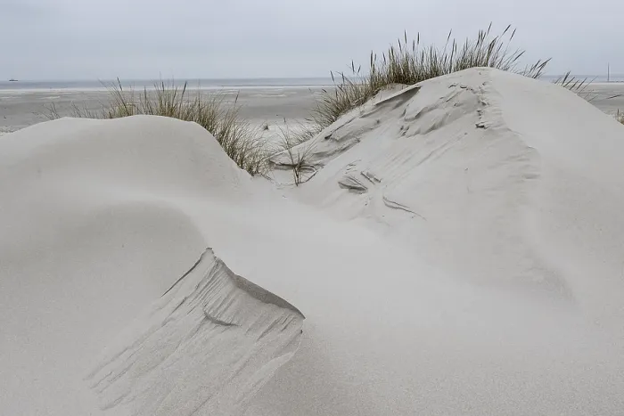 Framed Print : Dune landscape, Amrum, Schleswig-Holstein, Germany Framed Print : Dune landscape, Amrum, Schleswig-Holstein, Germany