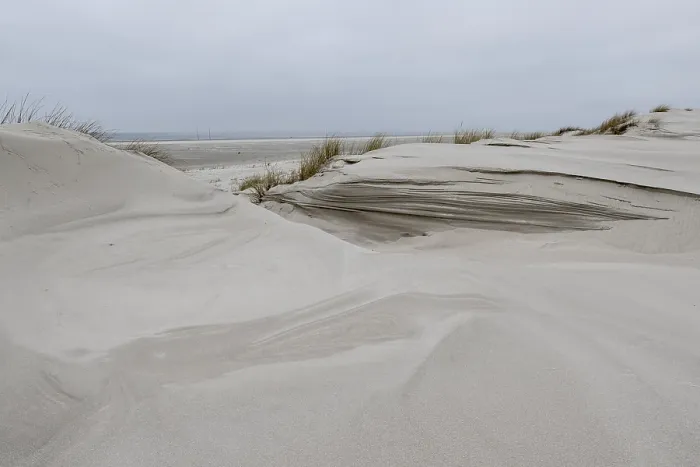 Framed Print : Dune landscape, Amrum, Schleswig-Holstein, Germany Framed Print : Dune landscape, Amrum, Schleswig-Holstein, Germany