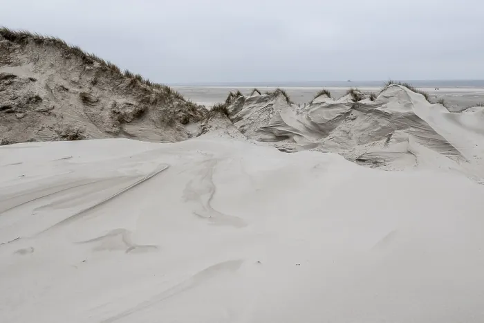 Framed Print : Dune landscape, Amrum, Schleswig-Holstein, Germany