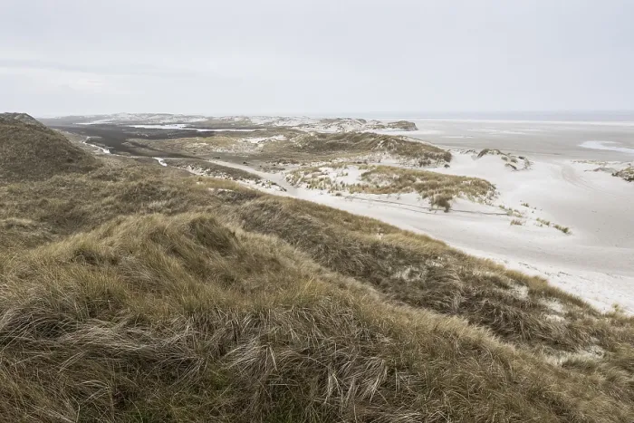 Framed Print : Dune landscape, Amrum, Schleswig-Holstein, Germany