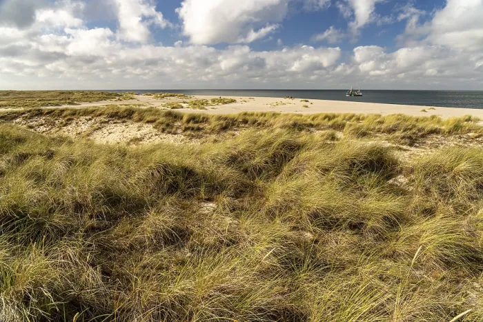 Framed Print : Dune landscape on the coast of Ellenbogen near List