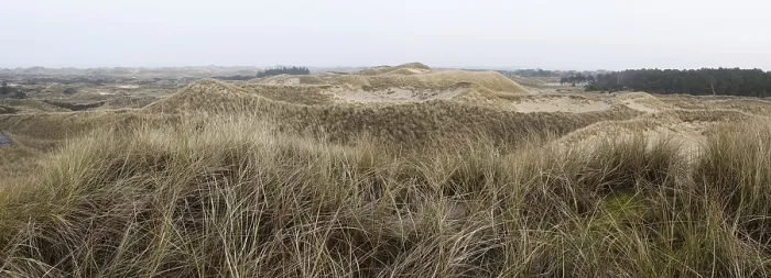Framed Print : Dune landscape, Panorama, Amrum