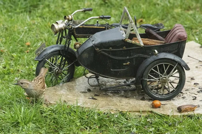 Framed Print : Dunnock standing next to motorbike on stone slab in green grass looking from front left