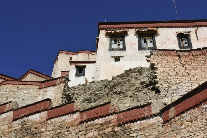 Framed Print : Dzong of Gyantse, Tibet, China, Asia
