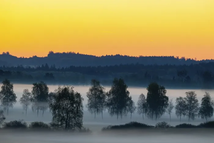 Framed Print : Early morning fog over the moor