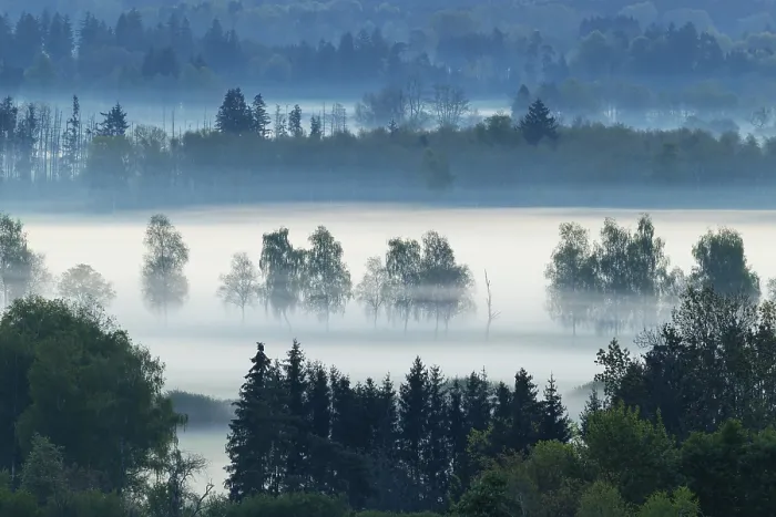 Framed Print : Early morning fog over the moor