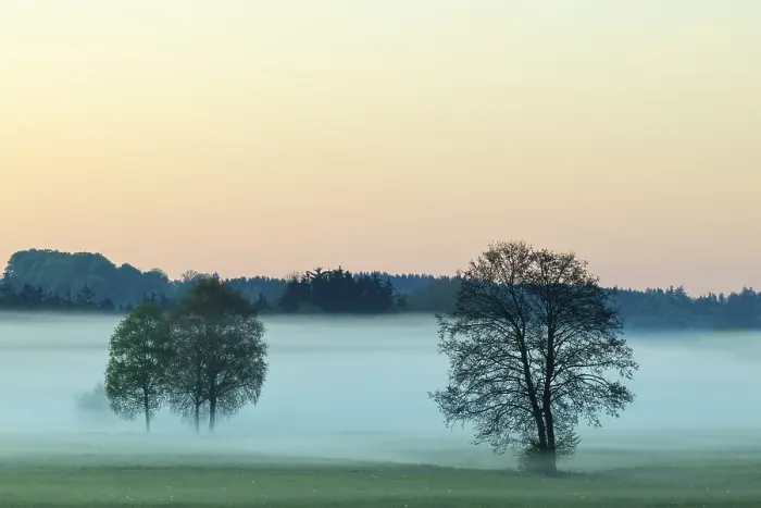 Framed Print : Early morning fog over the moor