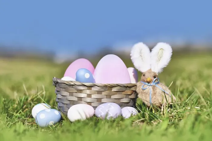 Framed Print : Easter basket with painted eggs and chick with rabbit ears on meadow Framed Print : Easter basket with painted eggs and chick with rabbit ears on meadow