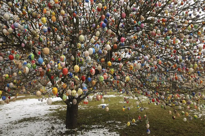 Framed Print : Easter egg tree, Germany