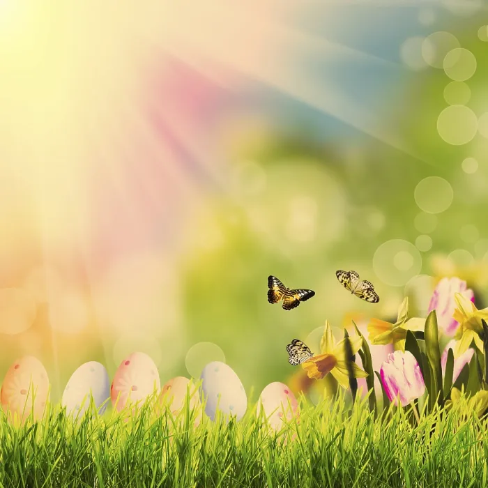 Framed Print : Easter greetings with grass over spring bokeh and sunlight