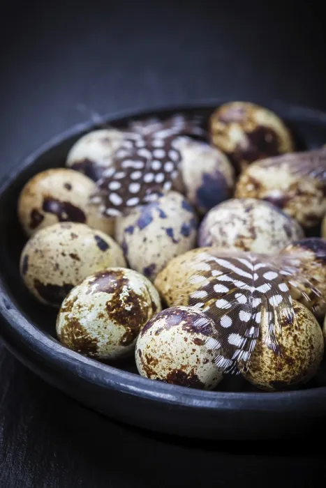 Framed Print : Easter still life with quail eggs on black background
