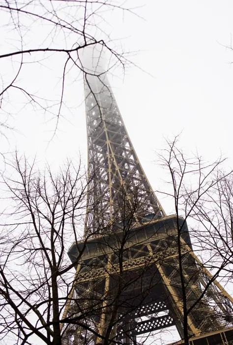 Framed Print : Eiffel Tower, its pinnacle disappearing into the fog