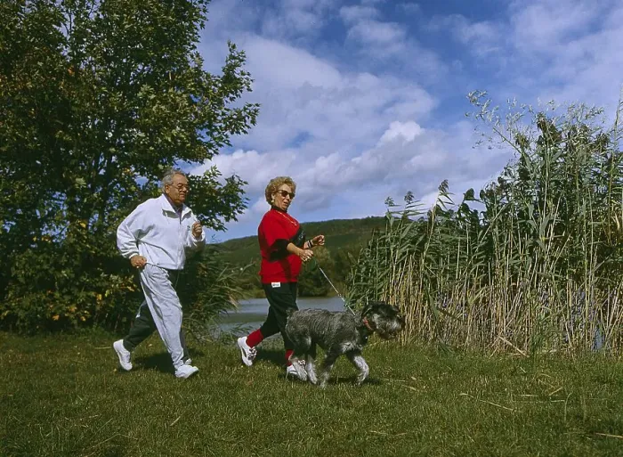 Framed Print : Elderly couple walking with dog Framed Print : Elderly couple walking with dog
