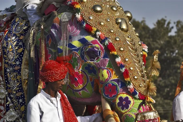 Framed Print : Elephant Decoration, Elephant Festival 2004