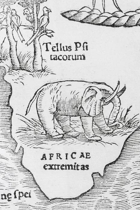 Framed Print : Elephant, detail, earliest printed map of the entire African continent Framed Print : Elephant, detail, earliest printed map of the entire African continent