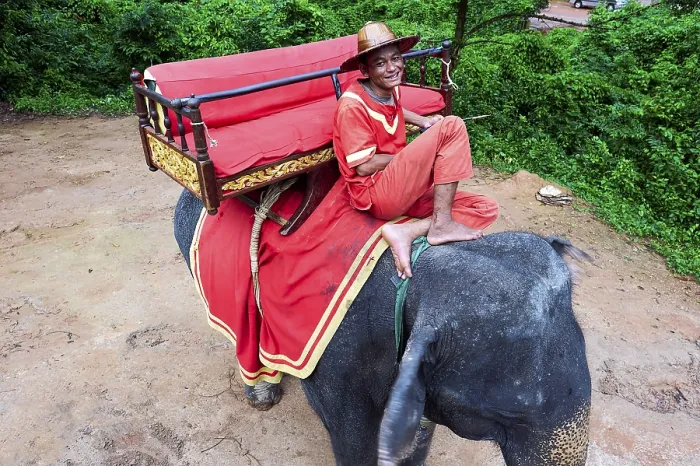 Framed Print : An elephant driver waiting for tourists at Angkor Wat Temple