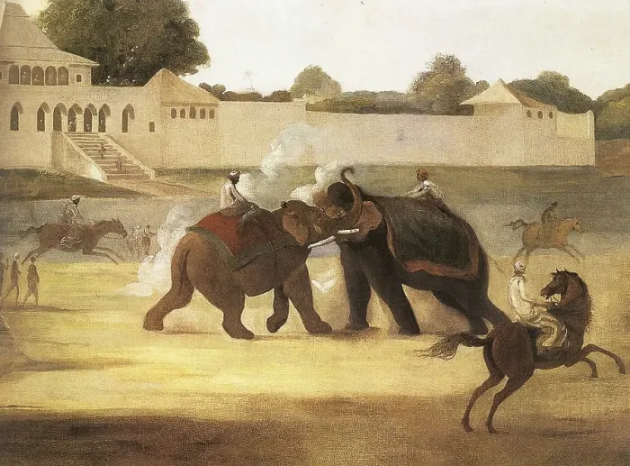 Framed Print : Elephant fight in front of Nawab of Oudh's Bungalow at Gow gautee, India 1995 Framed Print : Elephant fight in front of Nawab of Oudh's Bungalow at Gow gautee, India 1995