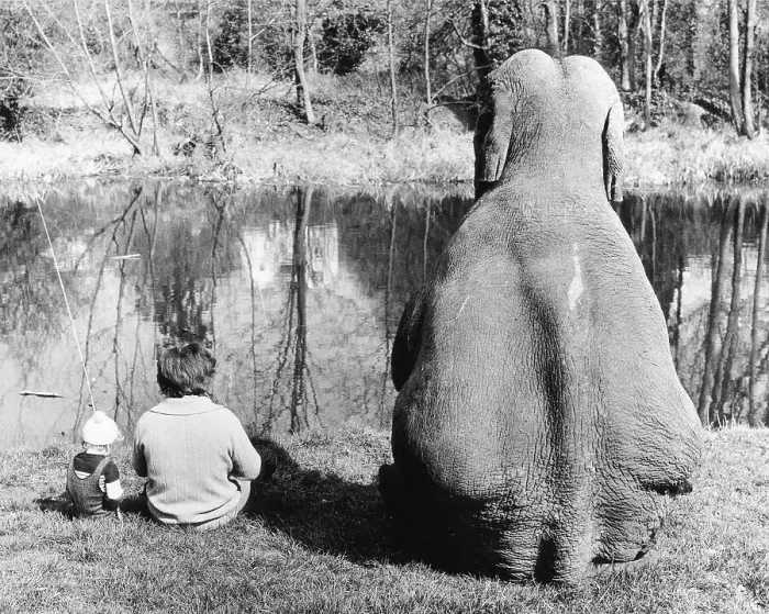 Framed Print : Elephant fishing, England, Great Britain