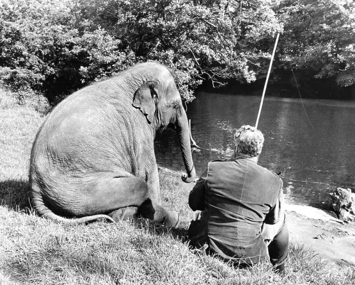 Framed Print : Elephant and man sit together by the river and fish Framed Print : Elephant and man sit together by the river and fish