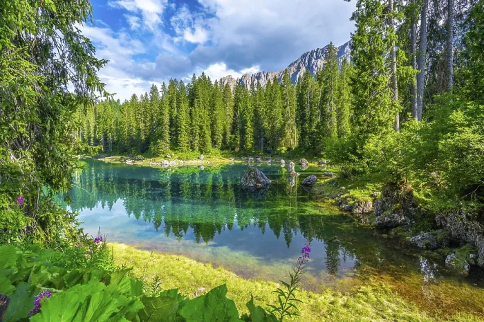 Framed Print : Emerald waters of lake carezza reflecting surrounding fir trees