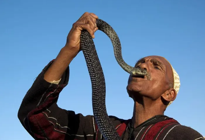 Framed Print : Entertainer holding snake, Marrakech