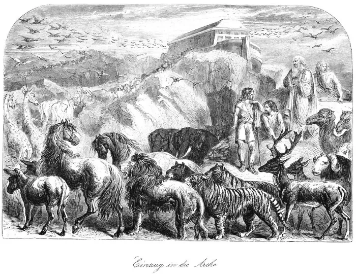 Framed Print : Entry into the ark, Noah's ark