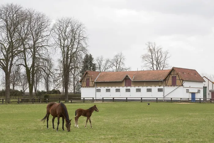Framed Print : Erftstadt, Romerhof stud farm near Lechenich Erftstadt Framed Print : Erftstadt, Romerhof stud farm near Lechenich Erftstadt
