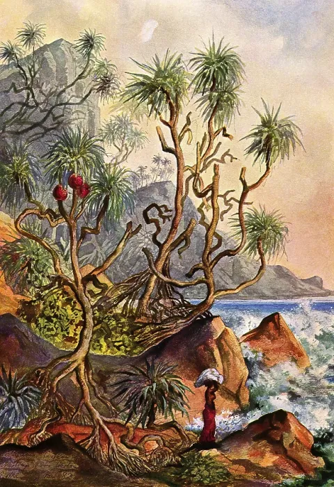 Framed Print : Ernst Heinrich Philipp August Haeckel (February 16)