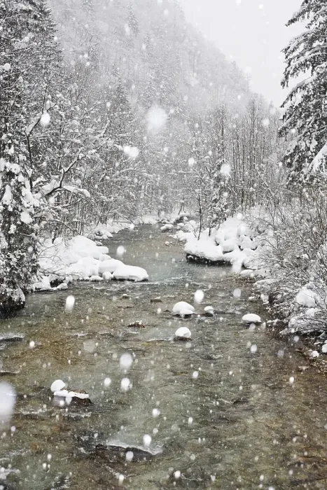 Framed Print : Erzbach brook during snowfall, between Eisenerz and Hieflau