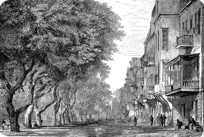 Framed Print : The Esbekieh Square with acacias in Cairo