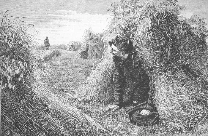 Framed Print : Escaped, a fugitive crook has hidden from the policeman in a sheaf of grain