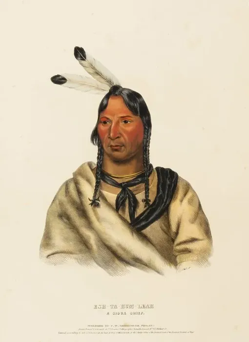 Framed Print : Esh-Ta-Hum-Leah. A Sioux Chief (1838) Framed Print : Esh-Ta-Hum-Leah. A Sioux Chief (1838)