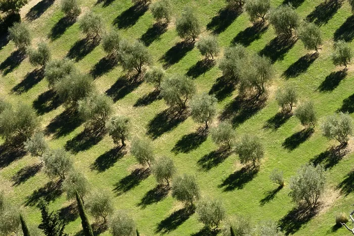 Framed Print : Europe, Tuscany, Tuscany, Val d'Orcia