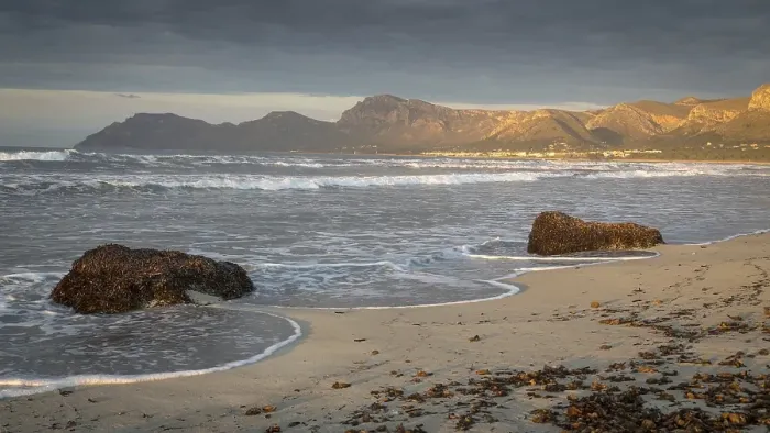 Framed Print : Evening atmosphere at the sandy beach Playa Sa Canova in Son Serra de Marina Framed Print : Evening atmosphere at the sandy beach Playa Sa Canova in Son Serra de Marina