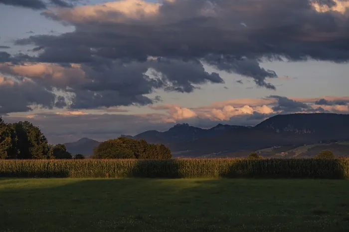 Framed Print : Evening landscape with mountains in the background Framed Print : Evening landscape with mountains in the background