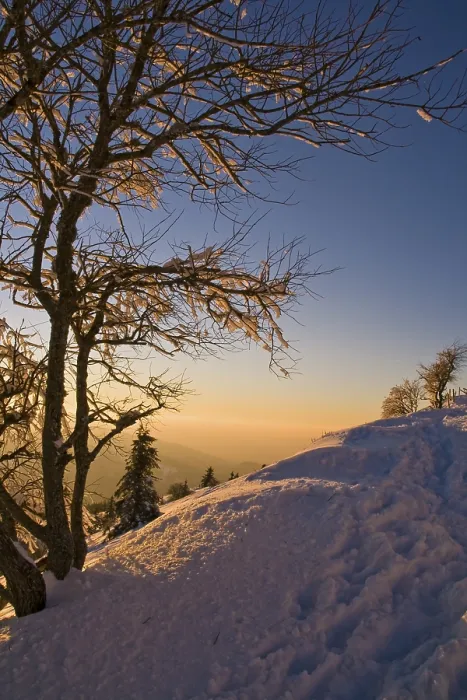 Framed Print : Evening light on Mt. Belchen in the southern Black Forest Framed Print : Evening light on Mt. Belchen in the southern Black Forest