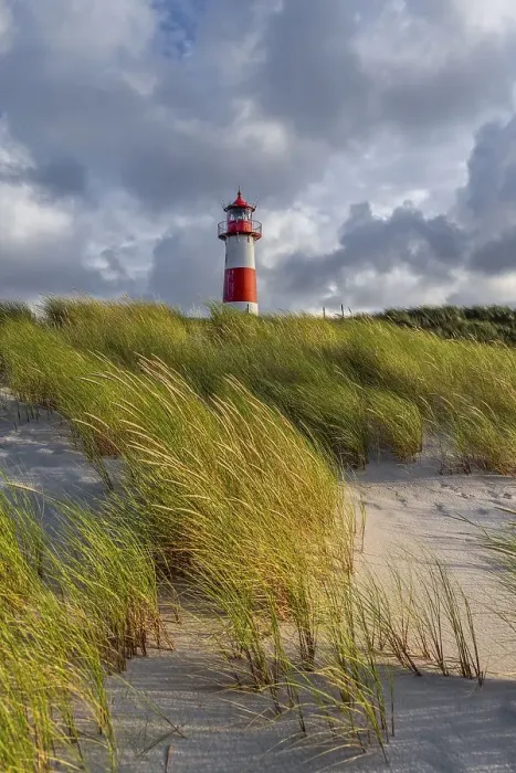 Framed Print : Evening light, red-white lighthouse List-East in the dunes Framed Print : Evening light, red-white lighthouse List-East in the dunes