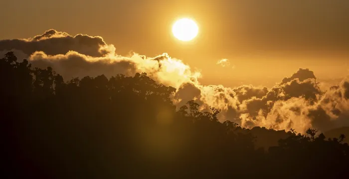Framed Print : Evening mood, clouds over cloud forest Framed Print : Evening mood, clouds over cloud forest