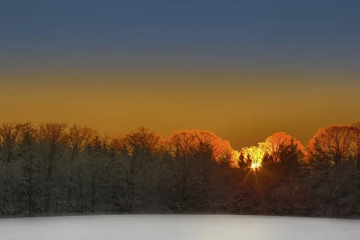 Framed Print : Evening red light in the Harz Mountains