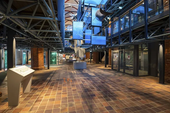 Framed Print : Exhibition, Exhibition room, German Oceanographic Museum