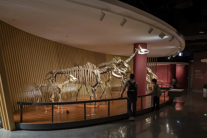 Framed Print : Exhibition, Exhibition rooms, Shanghai natural history museum