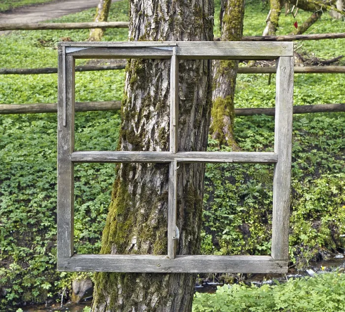 Framed Print : Exhibition of paintings in the forest - aged window frame are nailed to the old trunk of a tree