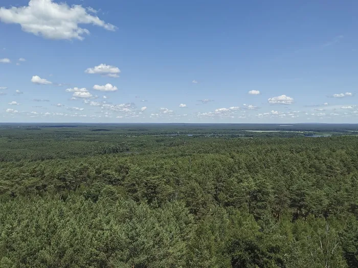 Framed Print : Extensive view of a dense green forest under a blue sky with few clouds