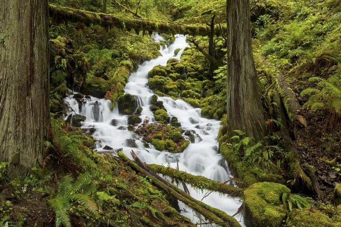 Framed Print : Fairy Falls, waterfall in the Columbia River Gorge Framed Print : Fairy Falls, waterfall in the Columbia River Gorge